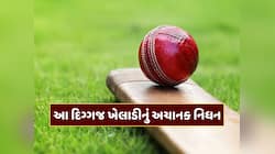 ભારત-ન્યૂઝીલેન્ડ T20 સિરીઝ વચ્ચે આવ્યા દુ:ખદ સમાચાર, આ દિગ્ગજ ખેલાડીનું અચાનક નિધન 