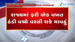 રાજ્યમાં ફરી એક વખત ઠંડી વચ્ચે વરસી શકે કમોસમી માવઠું, અંબાલાલ પટેલની વોર્નિંગ 