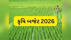 ખેડૂતોને સરકાર પાસે મોટી આશા, જાણો આ વખતે કૃષિ બજેટમાં શું હશે ખાસ?