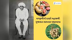 સિંગતેલના ભડકે બળતા ભાવ વચ્ચે જાણો એ ગુજરાતી વિશે જેણે સૌરાષ્ટ્રને મગફળી ખેતી કરાવી