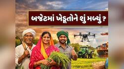 Budget 2026: બજેટમાં ખેડૂતોને શું મળ્યું ? જાણો કૃષિ ક્ષેત્રે સરકારે શું કરી જાહેરાત