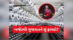 બજેટમાં ગુજરાત માટે શું? રાજ્યમાં આ ઉદ્યોગોને મળશે વેગ, રોકાણ-રોજગારીની વિપુલ તકો
