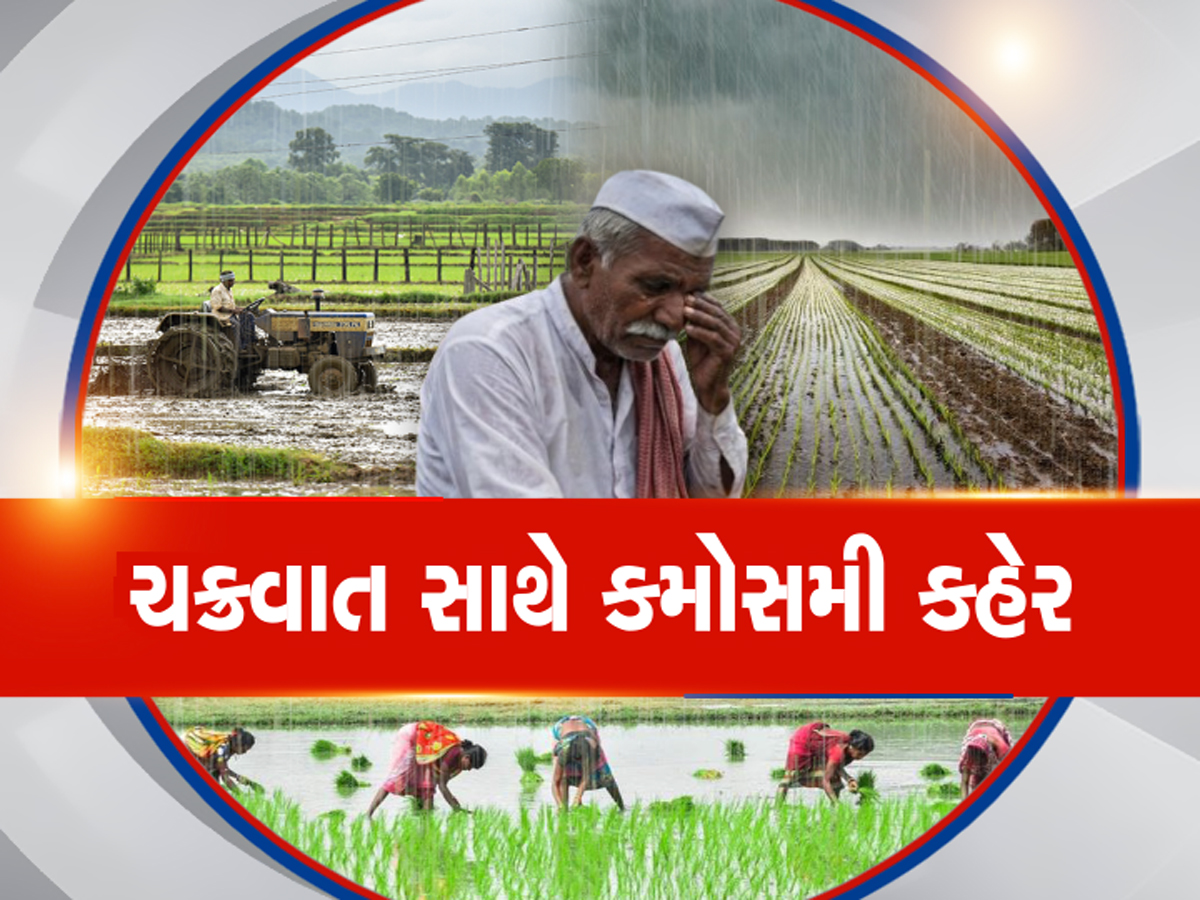 જગતના તાત પર સંકટના વાદળો! હવામાન વિભાગનું યલો એલર્ટ; આ જિલ્લાઓમાં વીજળીના કડાકા સાથે ત્રાટકશે માવઠું જગતના તાત પર સંકટના વાદળો! હવામાન વિભાગનું યલો એલર્ટ; આ જિલ્લાઓમાં વીજળીના કડાકા સાથે ત્રાટકશે માવઠું