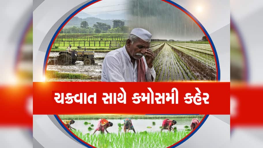 જગતના તાત પર સંકટના વાદળો! હવામાન વિભાગનું યલો એલર્ટ; આ જિલ્લાઓમાં વીજળીના કડાકા સાથે ત્રાટકશે માવઠું