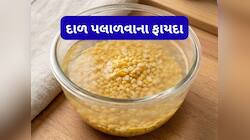 બાફતા પહેલા દાળ અને કઠોળને પલાળવા શા માટે જરૂરી ? પલાળ્યા વિના દાળ બાફો તો શું થાય ?