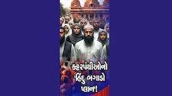 યોગીની નગરી યુપીથી ખાસ અહેવાલ : તાજનગરી આગ્રામાં હિન્દુ ભગાવોના ભયાનક દ્રશ્યો જુઓ