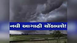 વેસ્ટર્ન ડિસ્ટર્બન્સ આ જિલ્લામાં લાવશે આફત! માવઠાથી લઈ શિયાળાની વિદાય સુધીની આગાહી