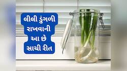આ રીતે રાખો, લીલી ડુંગળી દિવસો સુધી સડશે નહીં, 99 ટકા લોકો ફ્રીજમાં રાખે ખોટી રીતે