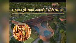 ડેસ્ટિનેશન વેડિંગ માટે ઉદયપુર-ગોવા જવાની જરૂર નથી, 250 કરોડના ખર્ચે વેડિંગ કોરિડોર