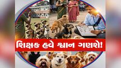 હવે શિક્ષકો કરશે શ્વાનોની ગણતરી! શિક્ષણ વિભાગના નવા પરિપત્રથી શિક્ષકોમાં ભારે રોષ