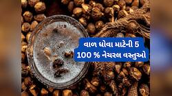 શેમ્પૂ છોડો વાળ ધોવા માટે આ 5 વસ્તુનો ઉપયોગ કરો, વાળની સમસ્યાઓનું નામોનિશાન નહીં રહે