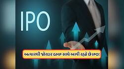 24 ફેબ્રુઆરીએ આવી રહ્યો છે મેઈનબોર્ડ IPO, ગ્રે માર્કેટની સ્થિતિ મજબૂત, જાણો 