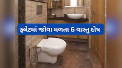 ફ્લેટમાં જોવા મળતા આ વાસ્તુ દોષ બને ધન હાનિનું કારણ, મહેનત કરો તો પણ ઘરમાં ન ટકે ધન