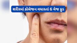 આ 6 વેજિટેરિયન ફુડ ખાવાથી 100 ની સ્પીડે વધશે કોલેજન, ઢીલી પડેલી સ્કિન ટાઈટ થવા લાગશે