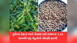 ગુજરાતના ખેડૂતો માટે મહત્વના સમાચાર : સરકારે કરી તુવેરની ટેકાના ભાવે ખરીદીની જાહેરાત