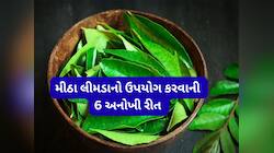 રસોઈ સિવાય ઘરના આ 6 કામોમાં પણ ઉપયોગી છે મીઠો લીમડો, જીવજંતુઓ એક રાતમાં ગાયબ થઈ જશે