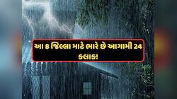 આગામી 24 કલાક રાજ્યના આ 8 જિલ્લામાં કમોસમી વરસાદની હવામાન વિભાગની આગાહી, જુઓ Video