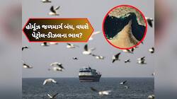 ધૂંધવાયેલા ઈરાને બંધ કર્યો હોર્મૂઝ જળમાર્ગ તો ભારતે શોધી કાઢ્યો ઓઈલ સંક્ટનો 'તોડ'