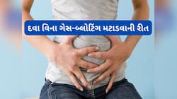 દવા વિના ગેસ, બ્લોટિંગથી રાહત મેળવવા આ 5 માંથી કોઈ 1 રીતે ફુદીનાનો ઉપયોગ કરો
