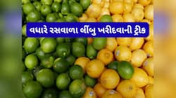 Lifehacks: લીંબુ રસવાળા છે કે નહીં ચેક કરવાની રીત, આ ટ્રિક ક્યારેય ફેલ નથી થતી