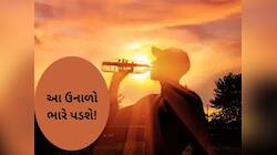 આ વર્ષે ગરમી ભુક્કા કાઢી નાખશે, આવી ગઈ હવામાન વૈજ્ઞાનિકોની સૌથી મોટી ચેતવણી