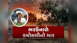 ભરઉનાળે ફરી માવઠાનું સંકટ! ગુજરાતના આ જિલ્લાઓમાં કમોસમી વરસાદની આગાહી, IMDનું એલર્ટ