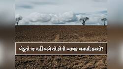 શહેરીકરણની આંધળી દોટમાં ગુજરાતનો ખેડૂત બરબાદ! 2 વર્ષમાં હજારો એકર જમીન ‘બિન ખેતી’