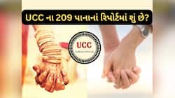 હવે સરકારને જાણ કર્યા વગર ગુજરાતમાં લિવ ઈનમાં નહિ રહી શકો! લગ્ન-ડિવોર્સના નવા નિયમ