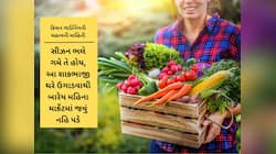 માર્ચ મહિનાનો ફાયદો ઉઠાવો : ઘરના કુંડામાં ઉગાડો શાકભાજી, ઓછી મહેનતે ઝટપટ ઉગી જશે