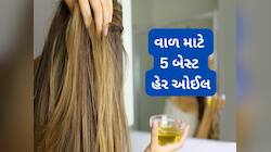 ઉનાળાના 5 બેસ્ટ હેર ઓઈલ, વાળની સમસ્યા અનુસાર પસંદ કરો તેલ, સારું રિઝલ્ટ ઝડપથી દેખાશે