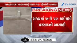 ગુજરાતમાં આજે આ વિસ્તારોમાં વરસાદની આગાહી, જુઓ Video 