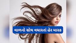 હેર ગ્રોથ અટકી ગયો છે ? ટ્રાય કરો આ 5 માંથી એક હેર પેક, વાળ લાંબા અને ઘાટા ઝડપથી થશે