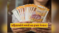 મહિલાઓને મળશે વર્ષે 40 હજાર પેન્શન, આ પાર્ટીએ કરી મોટી જાહેરાત
