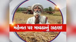 માવઠું પીછો નહીં છોડે! ગુજરાત પર વરસાદ-ચક્રવાતનો ખતરો, અંબાલાલે તારીખ સાથે કરી આગાહી