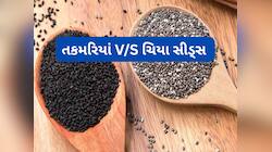 Chia vs Sabja: ઉનાળામાં ચિયા સીડ્સ ખાવા તે તકમરિયાં ? જાણો હેલ્થ માટે કયા બીજ બેસ્ટ 