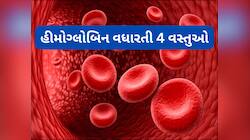લોહી બનાવવાનું મશીન છે આ 4 વસ્તુઓ, હીમોગ્લોબિન ઓછું હોય તો આજથી ખાવા લાગો