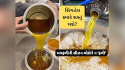ગુજરાતીઓને ન ‘ફળી’ મગફળીની સીઝન : સરકારના એક નિર્ણયને કારણે ભડકે બળ્યા સિંગતેલના ભાવ