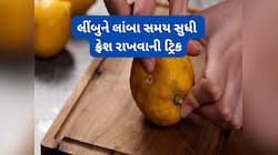 ફ્રીજમાં આ રીતે રાખશો લીંબુ તો ગળશે નહીં અને કડક નહીં થાય, 1 મહિના સુધી સારા રહેશે