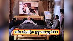 "ધુરંધર 2" ના "બડે સાહેબ"નું સત્ય... શું ખરેખર અંતિમ શ્વાસ લઈ રહ્યો છે અંડરવર્લ્ડનો