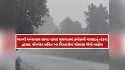 વહેલી સવારથી જ ગુજરાતના આ વિસ્તારોમાં મેઘરાજાની તોફાની બેટિંગ; ચોમાસા જેવો માહોલ...