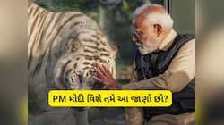 PM મોદીના એવા અનોખા શોખ, જેના વિશે જાણીને તમે પણ કહેશો- 'આ તો ખરેખર અજીબોગરીબ છે!