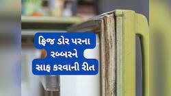 ફ્રીજના ડોરનું રબ્બર સાફ કરવું જરૂરી, ઘરે ક્લિનિંગ વોટર બનાવી લગાડો, ફુગ સાફ થઈ જશે