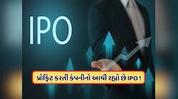 સતત નફો કરી રહેલી આ કંપનીનો આવશે IPO, 350 કરોડથી વધારેનો હશે IPO, જાણો