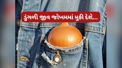 શું ખરેખર ખિસ્સામાં ડુંગળી રાખી હોય તો હીટસ્ટ્રોક ન આવે ? જાણો આ નુસખો સાચો કે ખોટો