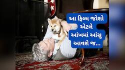 OTT પર જુઓ આ 5 ફિલ્મ, ડોગનો પ્રેમ જોઈ ઈમોશનલ થઈ જશો, ફિલ્મ જોતાં એકવાર તો રડવું આવશે