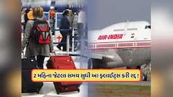 એર ઇન્ડિયાએ 31 મે સુધી આ દેશની ફ્લાઇટ્સ કરી સસ્પેંડ, 40,000 ભારતીયોમાં વધી ચિંતા