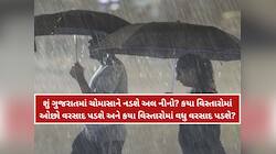 મોનસૂન પર અલ નીનોની અસર; જૂન-જુલાઈ-ઓગસ્ટમાં કેટલો પડશે વરસાદ? જાણો લેટેસ્ટ અપડેટ