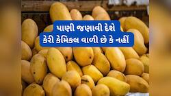 Mango Buying Hacks: કેસર કેરી કેમિકલમાં પકાવેલી છે કે નેચરલી પાકેલી જાણવાની ટ્રિક