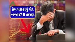 બજાર ખુલતા જ રોકાણકારો રાતા પાણીએ રડ્યા, 8 લાખ કરોડનું ધોવાણ, આ શેરોમાં ભારે કડાકો