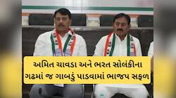 અમિત ચાવડાના ગઢમાં કોંગ્રેસનું સૂરસૂરિયું! ભરત સોલંકીની સ્ટ્રેટેજીનું ફીંડલું વળ્યું